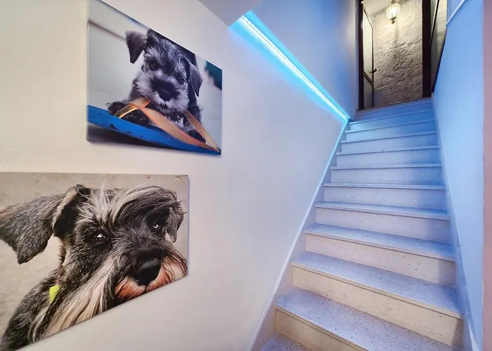 Poetry House 4* Split